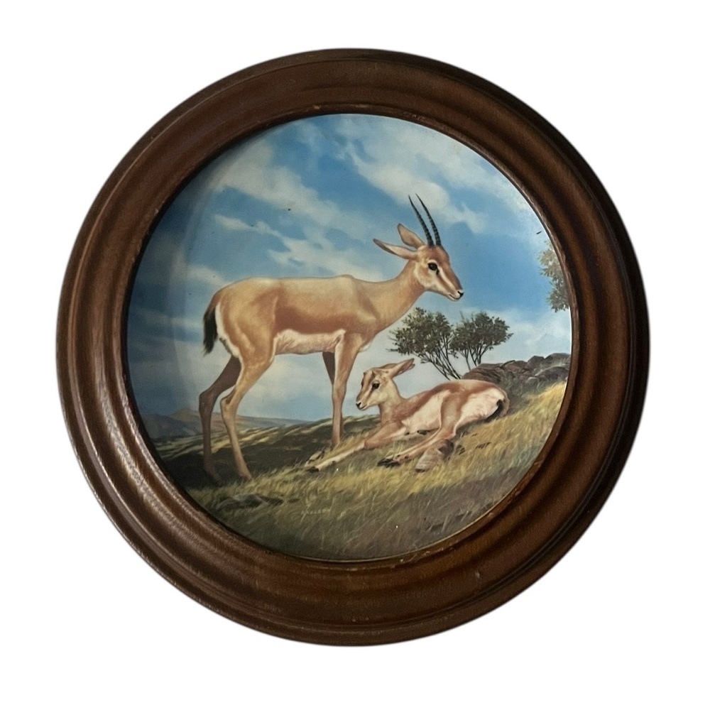 Will Nelson endangered species, slender horned gazelle numbered China plate
